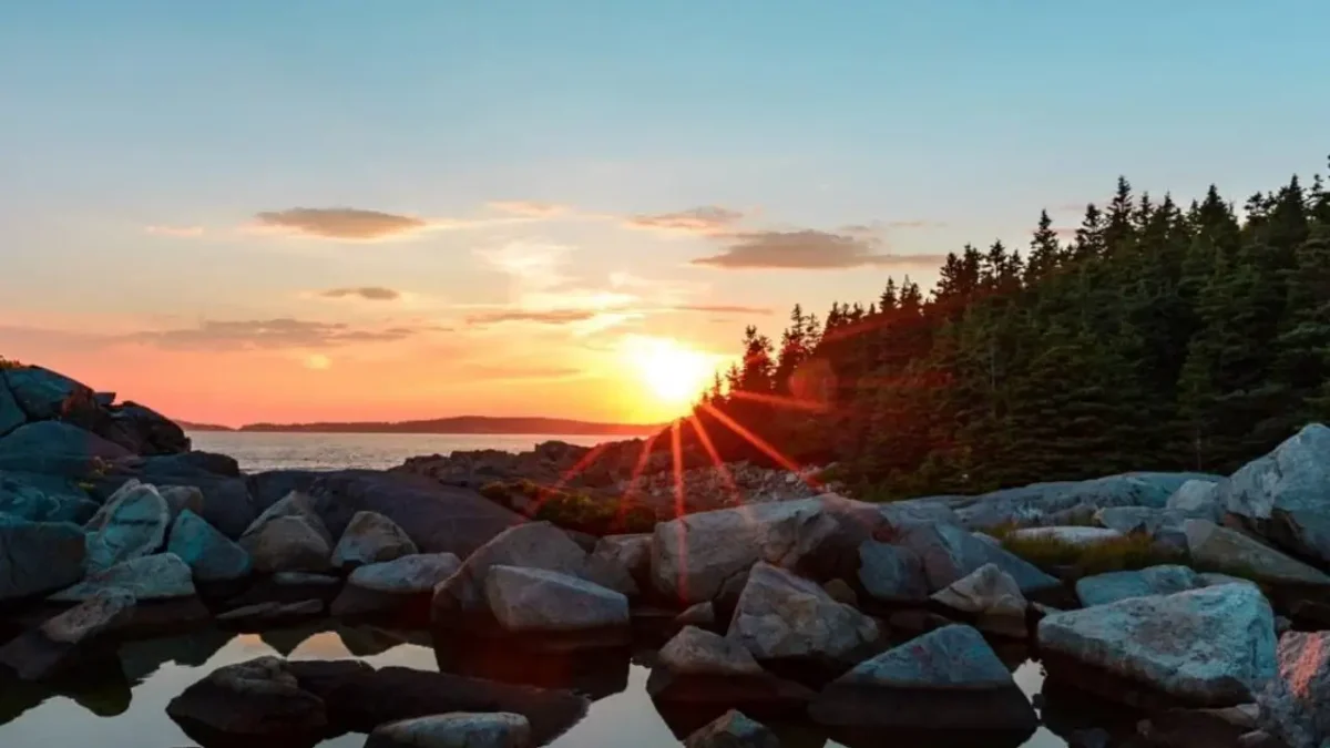 Sunset over rocky shoreline and pine forest near Acadia National Park, reflecting the peaceful atmosphere around local cabin stays.
