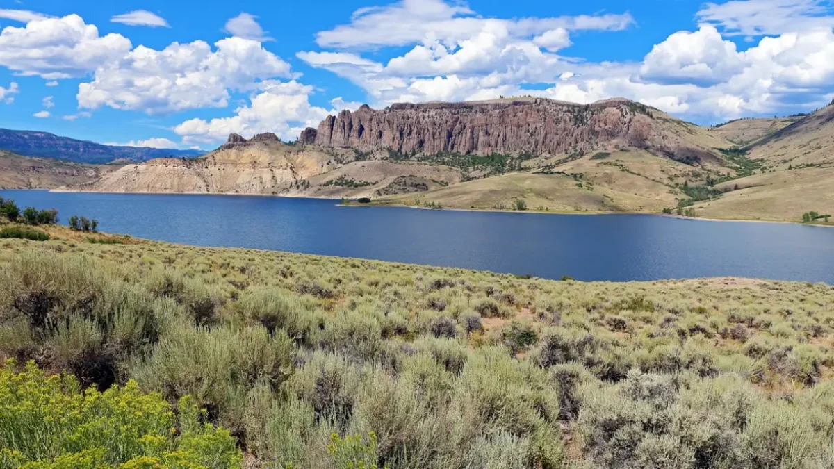Curecanti Reservoir and surrounding cliffs near Black Canyon of the Gunnison National Park under bright blue skies and rugged canyon terrain.