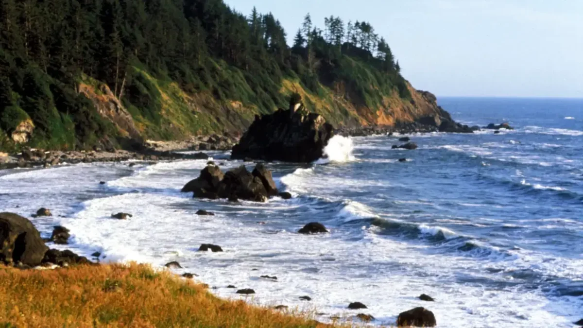 Rugged Northern California coastline with forested cliffs and waves breaking on rocky shore near Redwood National and State Parks, highlighting the ocean views close to hotels near Redwood National Park.