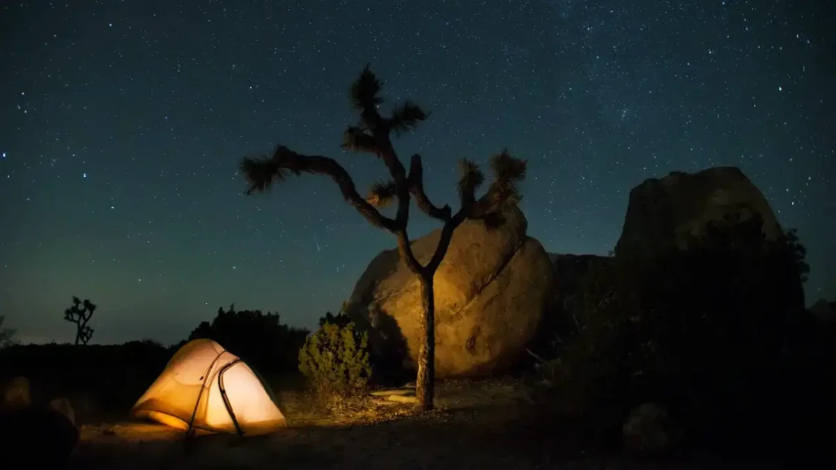 Illuminated tent beneath a Joshua tree and star-filled sky at a quiet Joshua Tree National Park camping spot tucked among granite boulders.