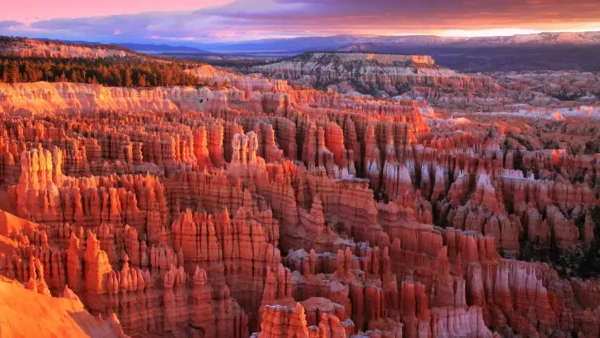 Panoramic sunrise view of Bryce Canyon National Park’s orange hoodoo formations and cliffs under a pink sky, a highlight stop on a Las Vegas to Bryce Canyon National Park road trip.