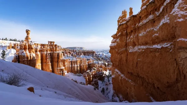 Snow-covered hoodoos and orange sandstone cliffs at Bryce Canyon National Park under a clear blue winter sky.