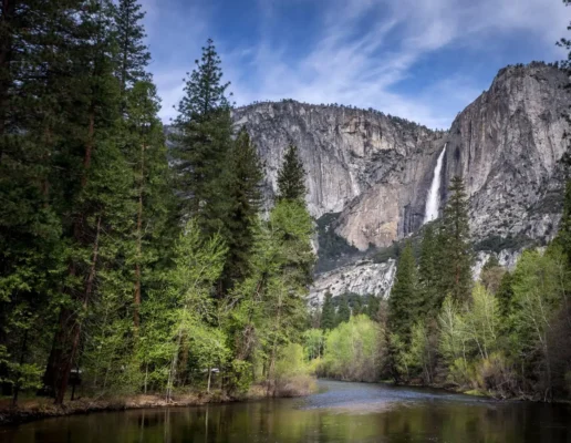 Yosemite Falls cascading down granite cliffs above the Merced River and pine forest in Yosemite National Park.
