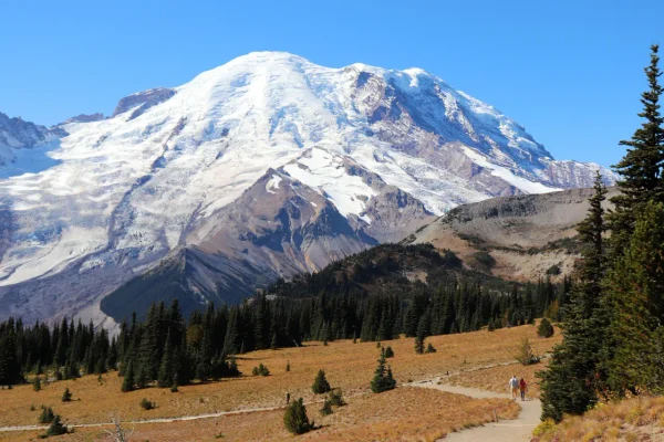 Mount Rainier National Park with snow-covered Mount Rainier, alpine meadows, evergreen trees, and hikers on a trail.