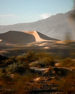 Mesquite Flat Sand Dunes in Death Valley National Park with sunlit sand dunes and rugged desert mountains in the background.